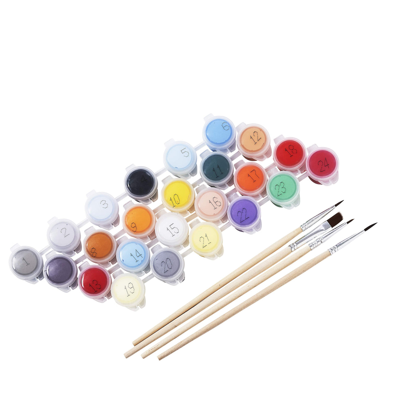 Paint Set with Brushes