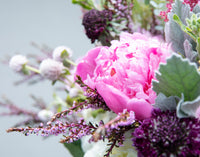 Thumbnail for Bashful Botanical - Pink Picasso Kits