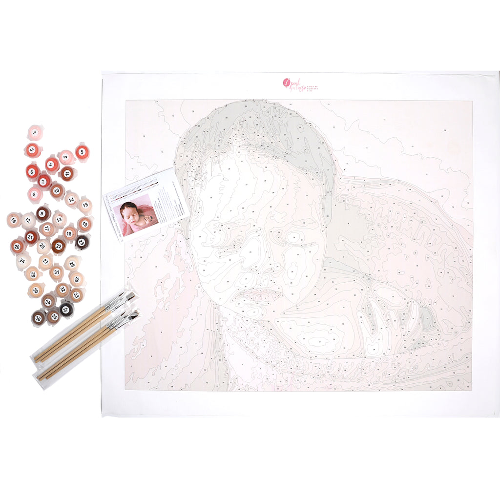 Pink Picasso Paint By Numbers Kits Pink Picasso Kits Pink picasso paint by numbers kits pink picasso kits