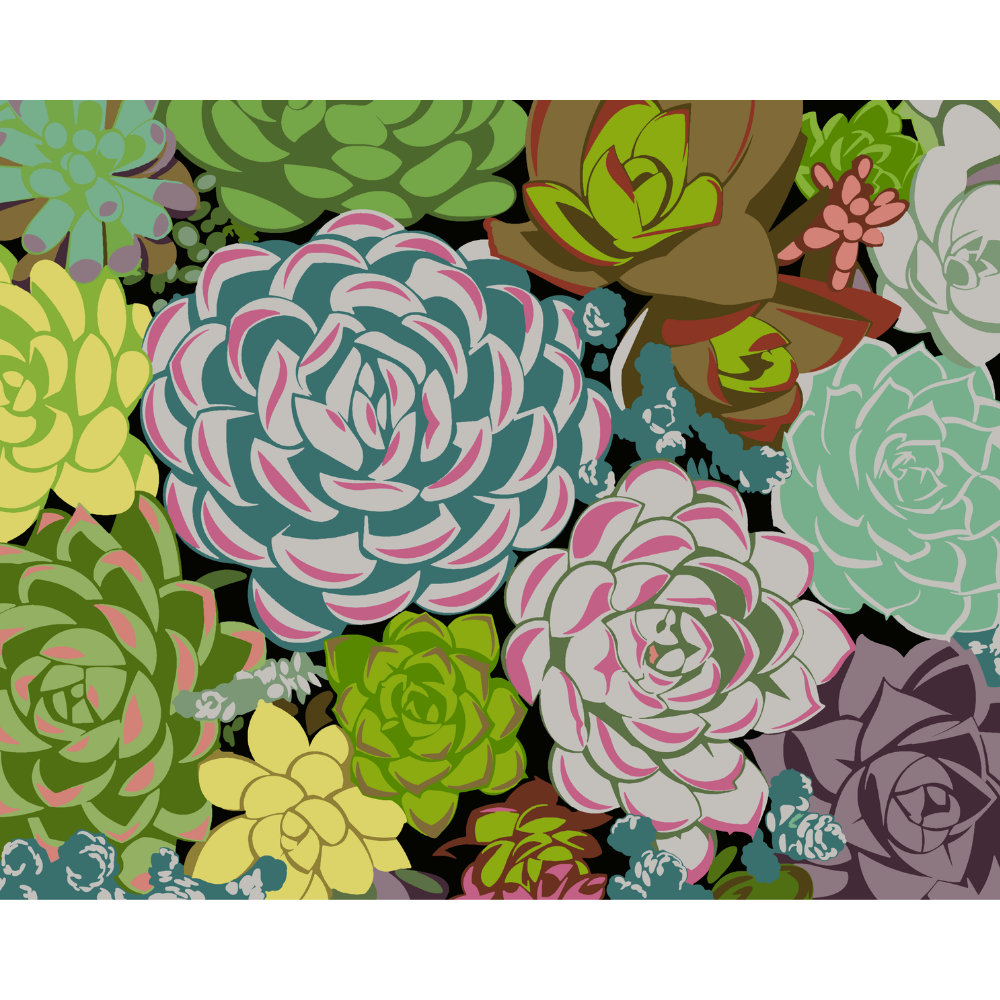 succulent paint by numbers Sensitive Succulents Digital Paint By Numbers