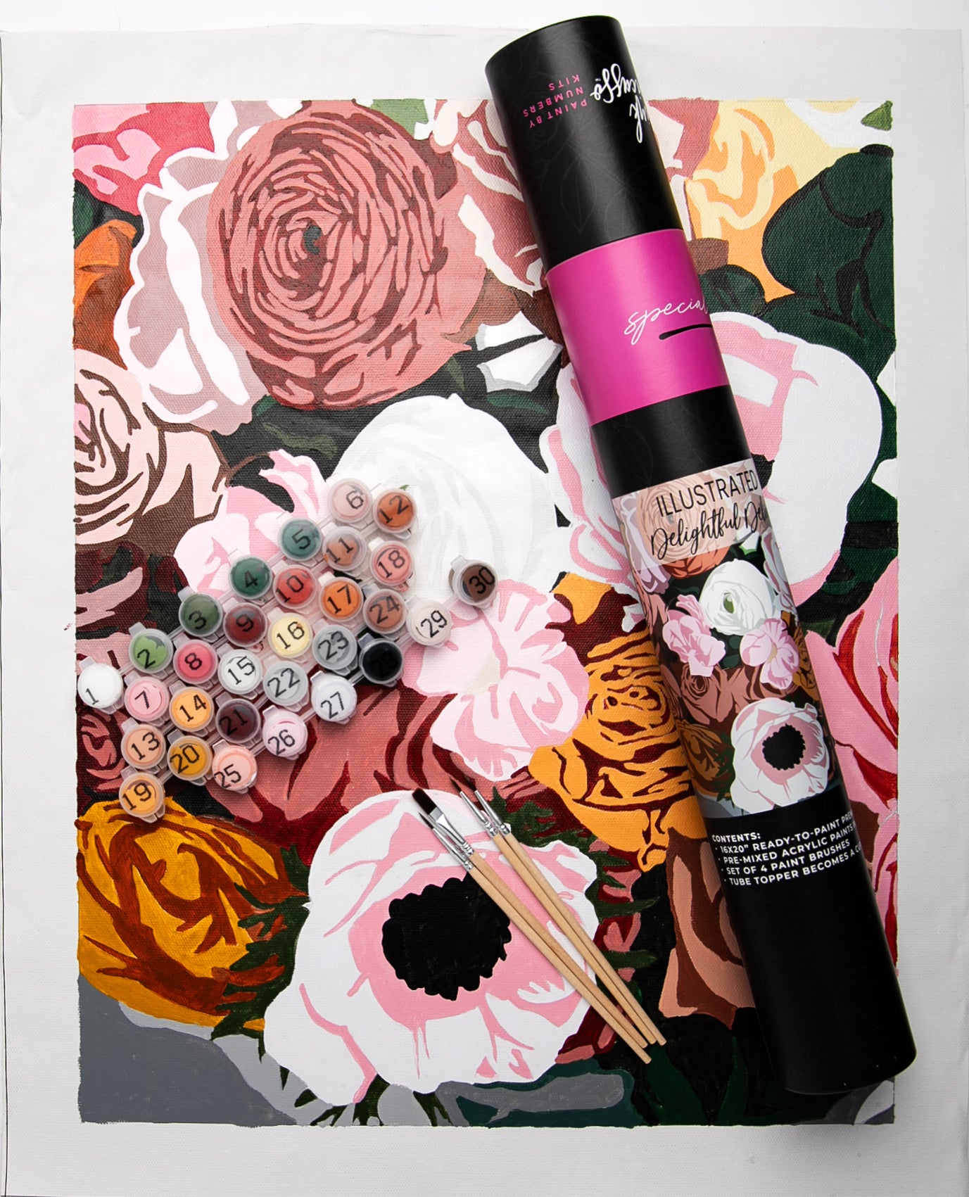Special Edition Illustrated