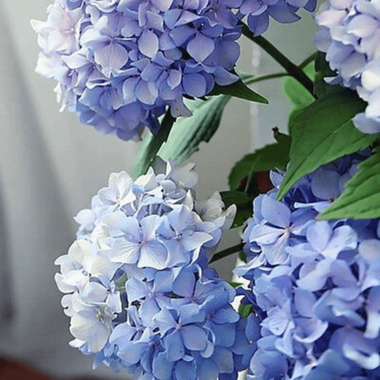 Purple Hydrangea Paint by Numbers - Goodnessfind