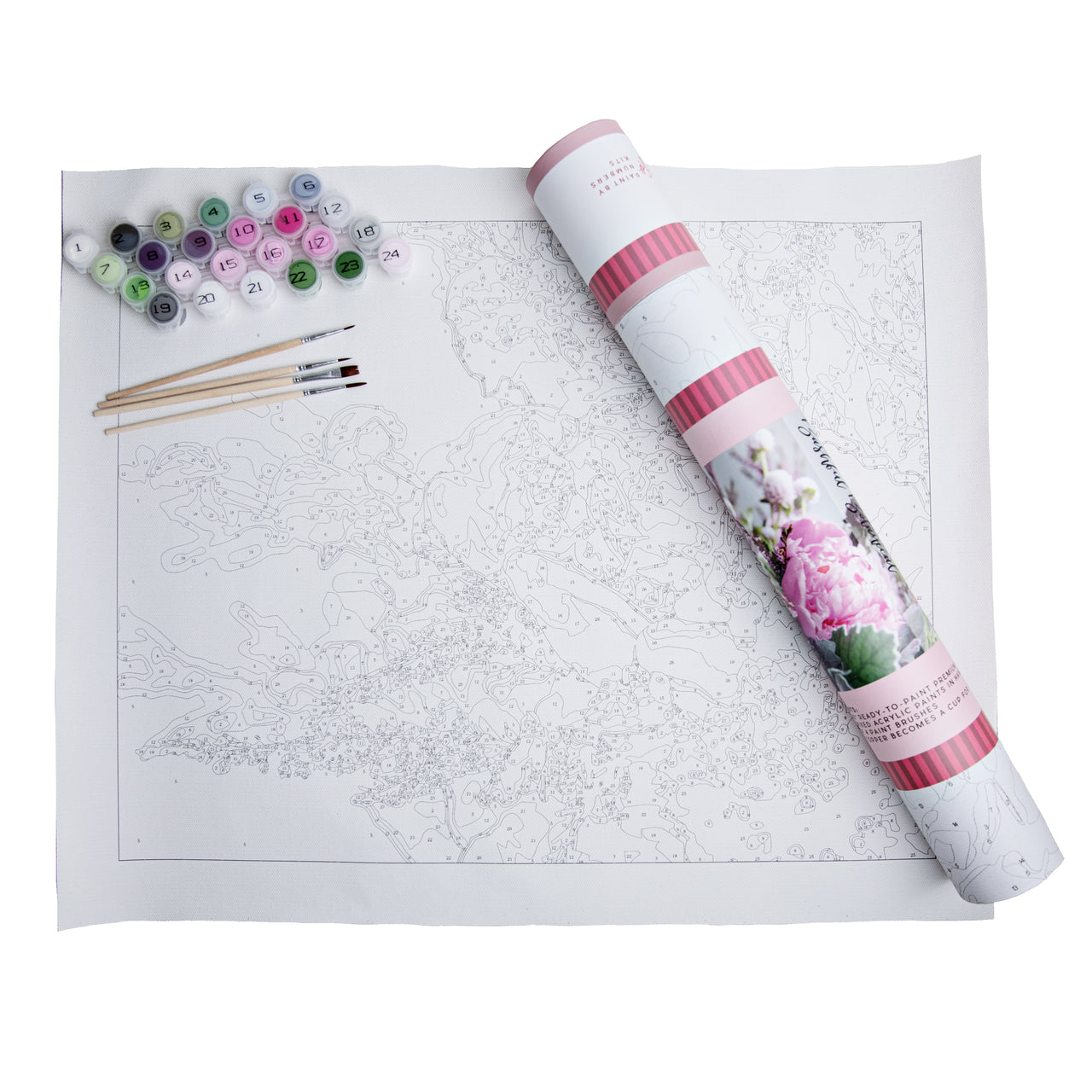 Pink Picasso Kits Botanical Floral Paint by Number for Adults | DIY Canvas Painting Kits Color by Numbers Drawing Arts and Crafts As Seen on Shark