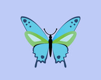 Thumbnail for Butterfly Art Kit