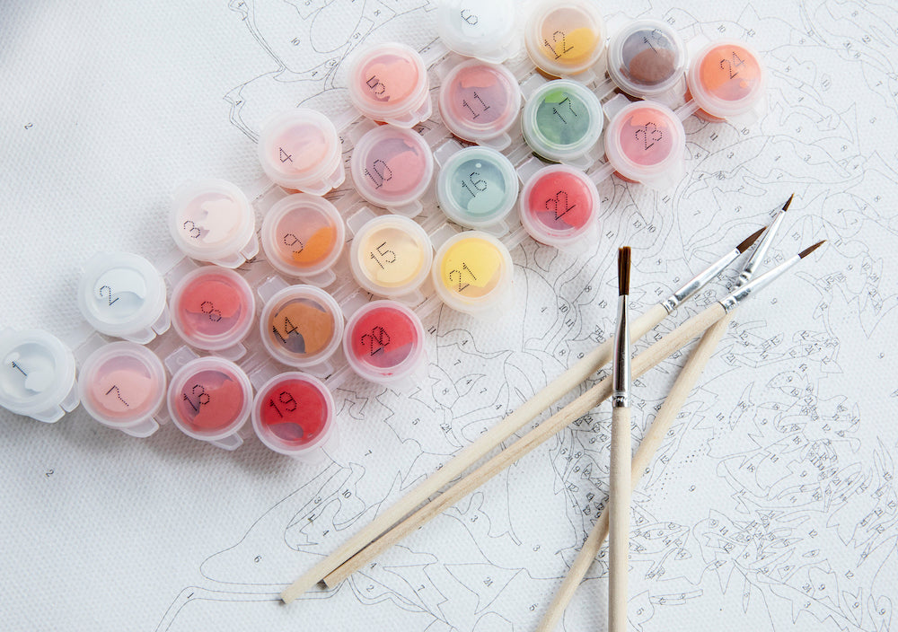 Mini Adult Paint-By-Numbers Kit