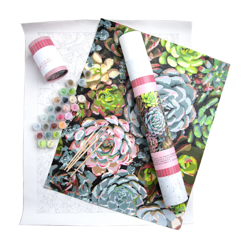 Sensitive Succulents - Pink Picasso Kits