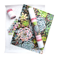 Thumbnail for Sensitive Succulents - Pink Picasso Kits
